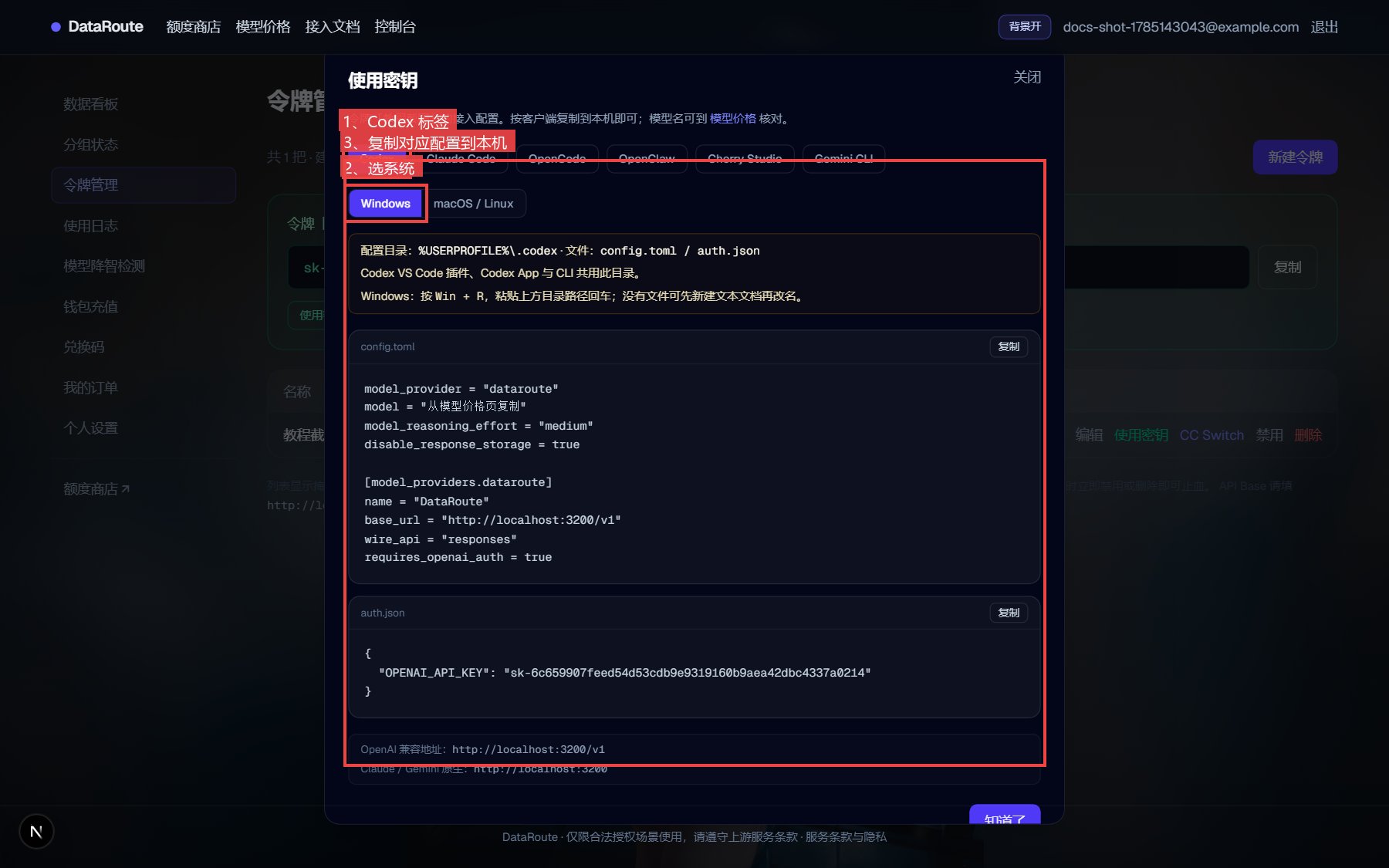 使用密钥弹窗 · Codex